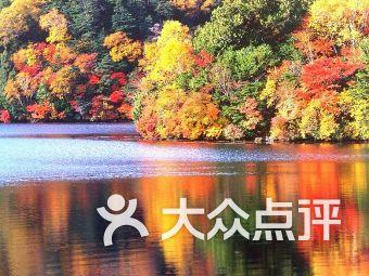 【我向两会提个问】建议政府加大对养老服务的投入