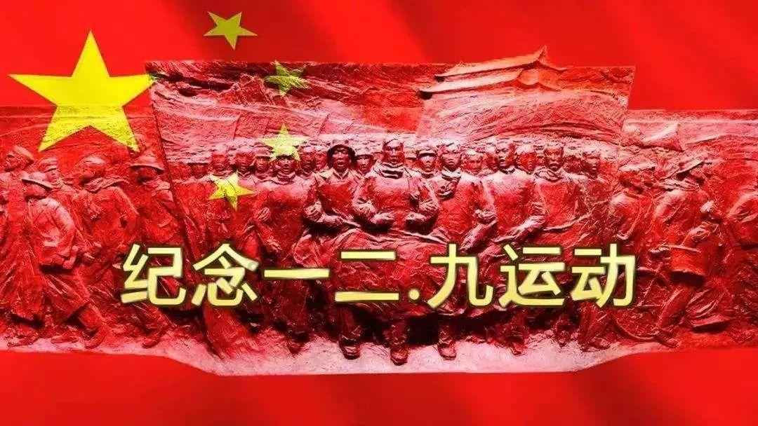 虫虫助手下载