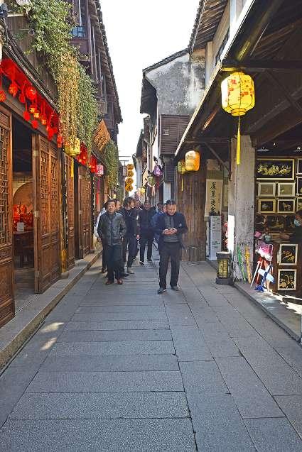 济南“胡一刀”胡承春救助上百只鸟类