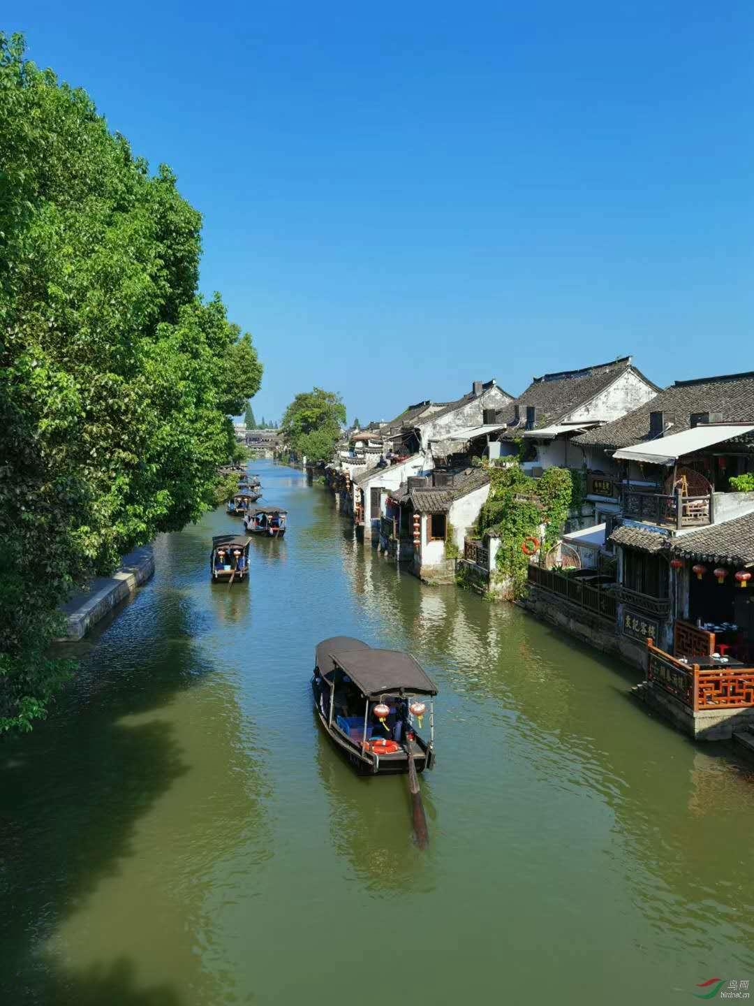名流设计